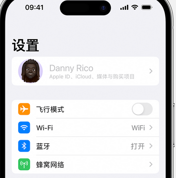 泰和appleID维修服务iPhone设置中Apple ID显示为灰色无法使用 