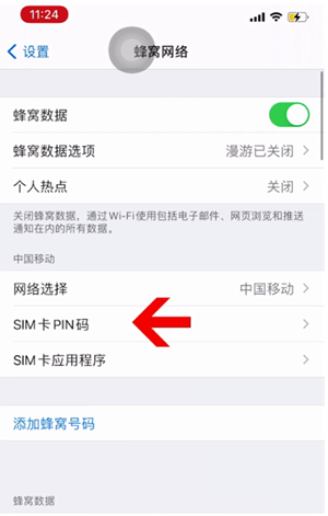 泰和苹果14维修网分享如何给iPhone14的SIM卡设置密码 