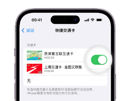 泰和apple维修点分享iPhone上更换Apple Pay快捷交通卡手绘卡面 