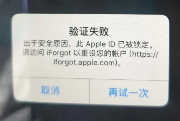 泰和iPhone维修分享iPhone上正常登录或使用AppleID怎么办 