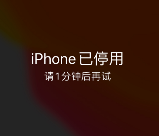 泰和苹果手机维修分享:iPhone 显示“不可用”或“已停用”怎么办？还能保留数据吗？ 