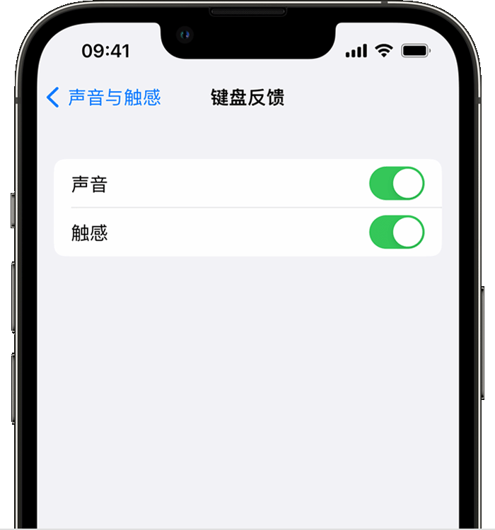 泰和苹果14维修店分享如何在 iPhone 14 机型中使用触感键盘 