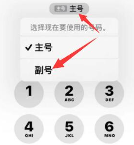 泰和苹果14维修店分享iPhone 14 Pro Max使用副卡打电话的方法 