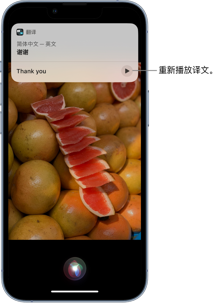 泰和苹果14维修分享 iPhone 14 机型中使用 Siri：了解 Siri 能帮你做什么 