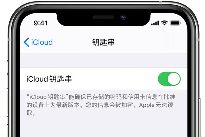 泰和苹果手机维修分享在 iPhone 上开启 iCloud 钥匙串之后会储存哪些信息 
