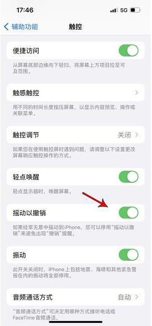 泰和苹果手机维修分享iPhone手机如何设置摇一摇删除文字 