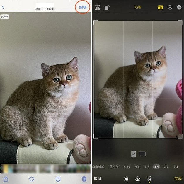 泰和苹果手机维修分享苹果 iPhone 12 Pro 拍照会过度锐化 