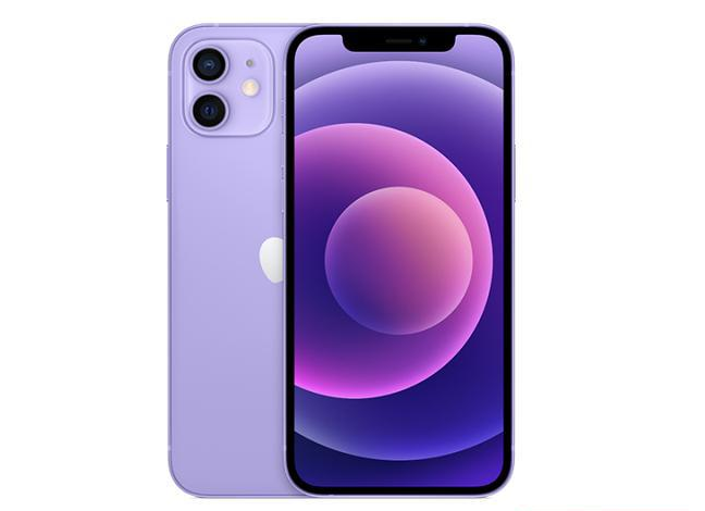 泰和苹果手机维修分享现阶段要不要入手紫色版iPhone12 