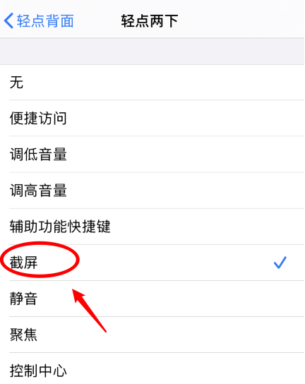 泰和苹果手机维修分享iPhone12如何启用双击截屏 